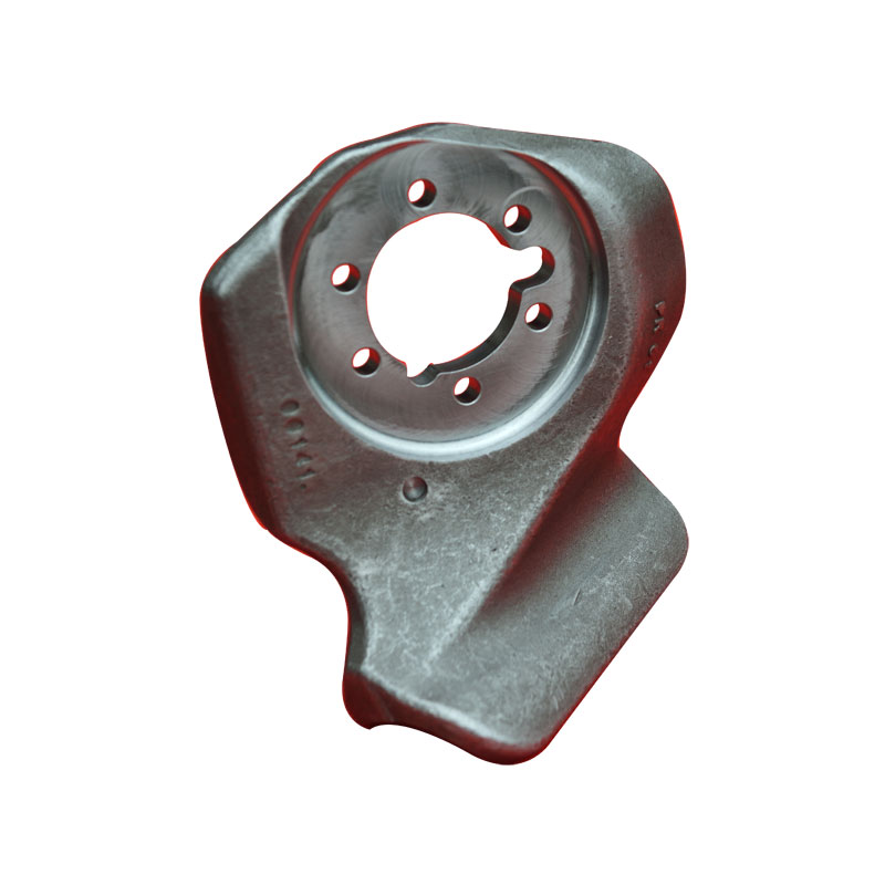 Bakit Mahalaga ang Co Housing Type Forgings para sa High-Performance Industrial Applications